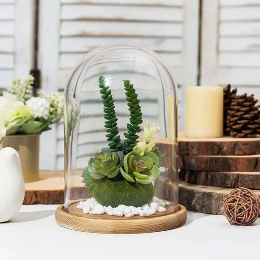 Premium Clear Glass Display Domes - 6x9 Inch