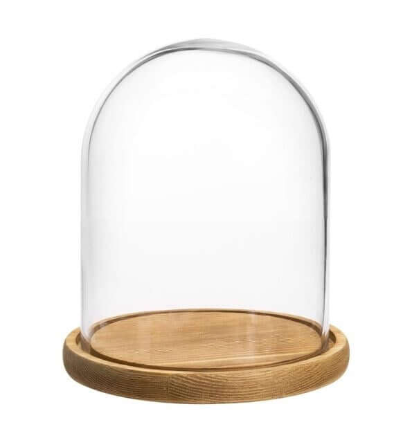 Premium Clear Glass Display Domes - 6x9 Inch