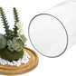Premium Clear Glass Display Domes - 8x10 Inch