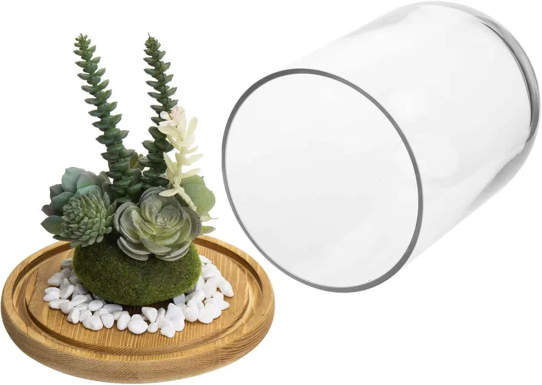 Premium Clear Glass Display Domes - 8x10 Inch
