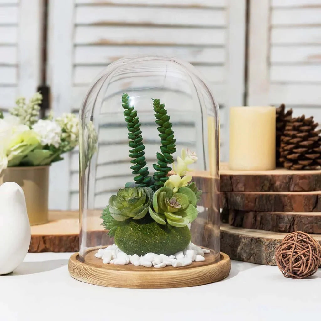 Premium Clear Glass Display Domes - 6x9 Inch