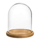 Premium Clear Glass Display Domes - 6x9 Inch