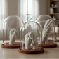 Premium Clear Glass Display Domes - 8x10 Inch