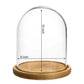 Premium Clear Glass Display Domes - 8x10 Inch