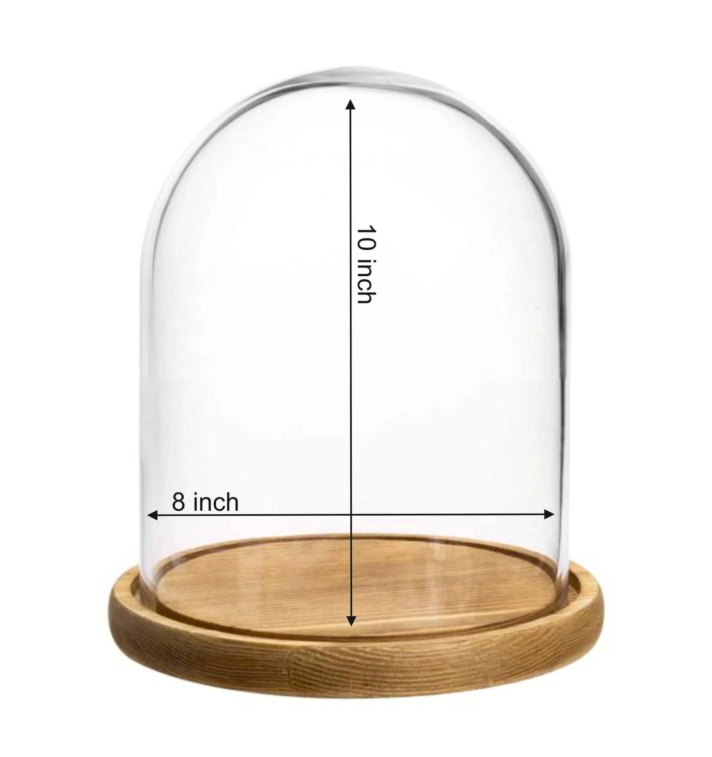 Premium Clear Glass Display Domes - 8x10 Inch