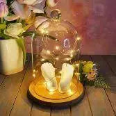 Decorative Glass Dome